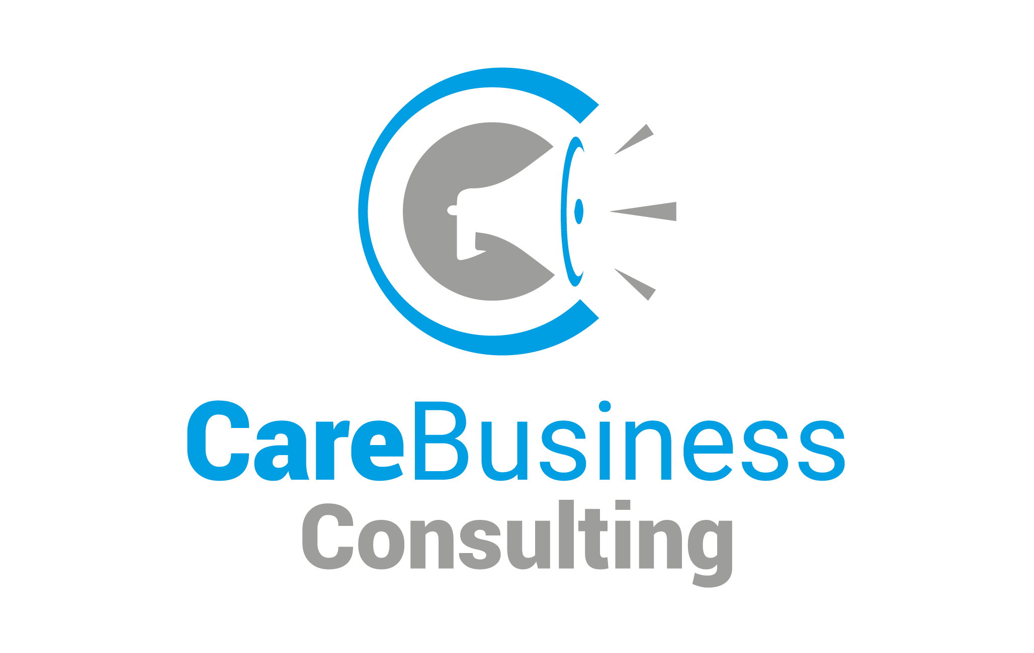 CareBusiness Consulting